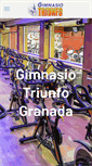 Mobile Screenshot of gimnasiotriunfo.com